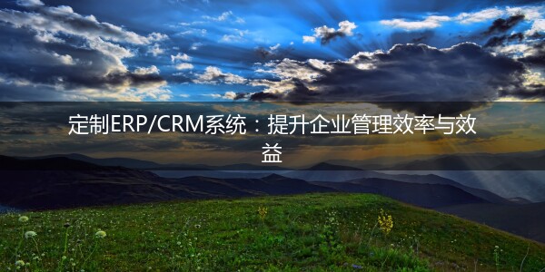 定制ERP/CRM系统：提升企业管理效率与效益